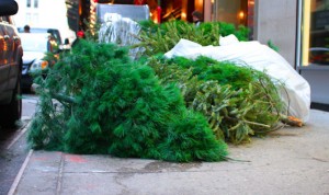U.S. Government Gets Into A Wasteful Christmas Mood, Says Paul In Latest Waste Report